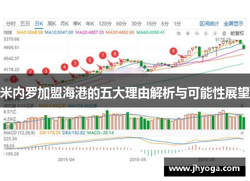 米内罗加盟海港的五大理由解析与可能性展望